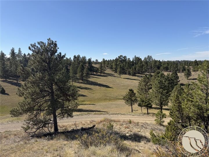 Property Photo:  252 Rock Canyon Lane  MT 59038 
