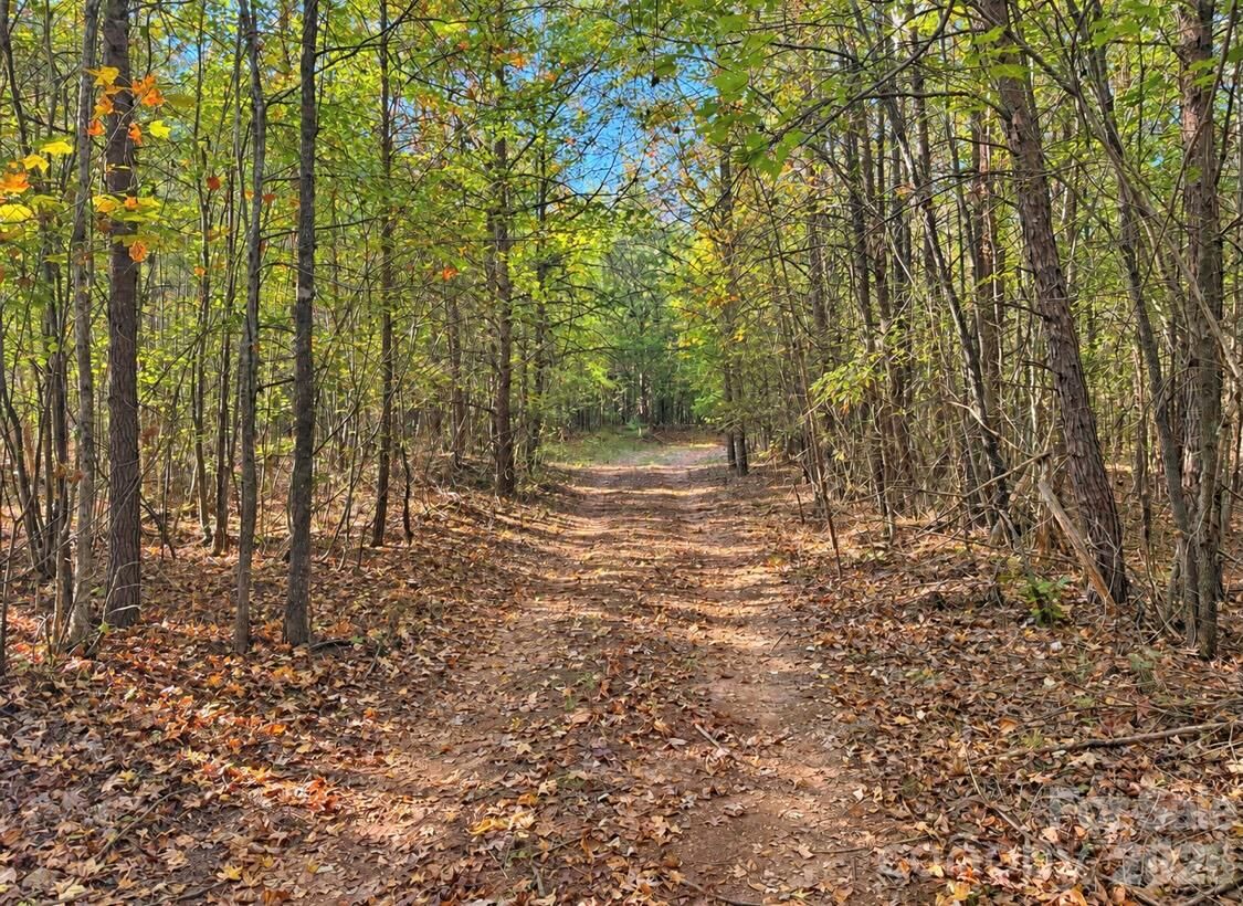 Property Photo: 0000 Legion Road SC 29743