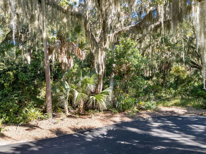 Property Photo:  421 Sweetspire Lane  SC 29455 