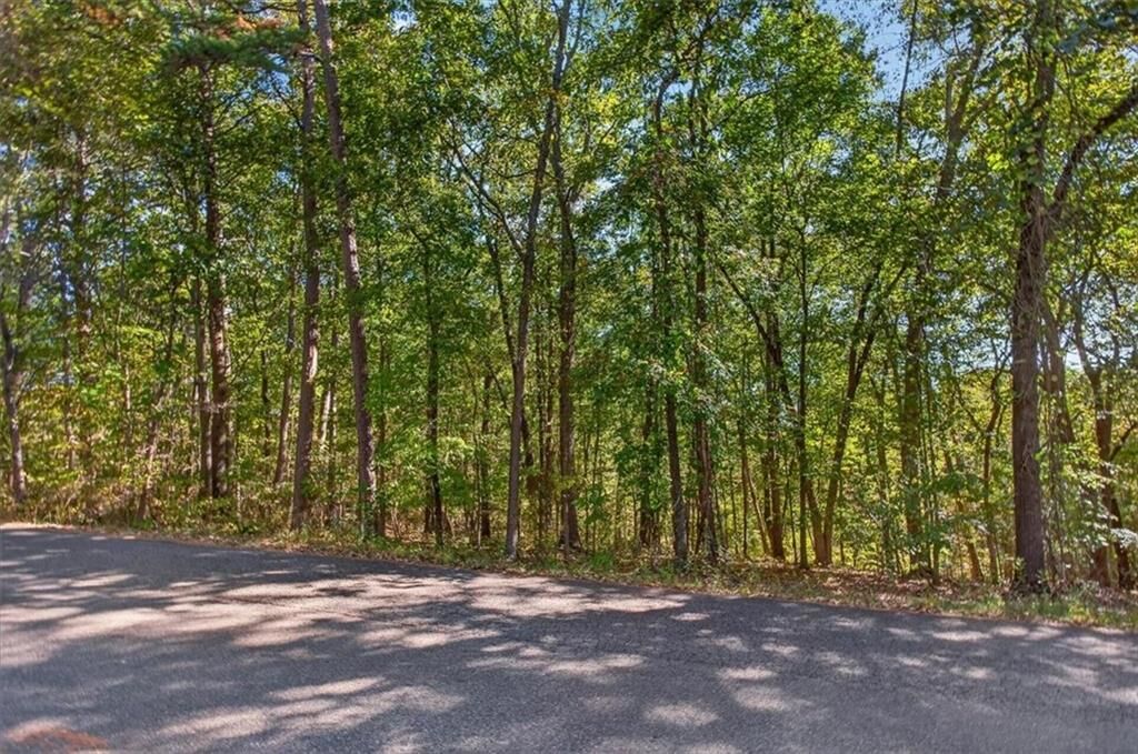 Property Photo:  0 Hendrix Lane  GA 30107 