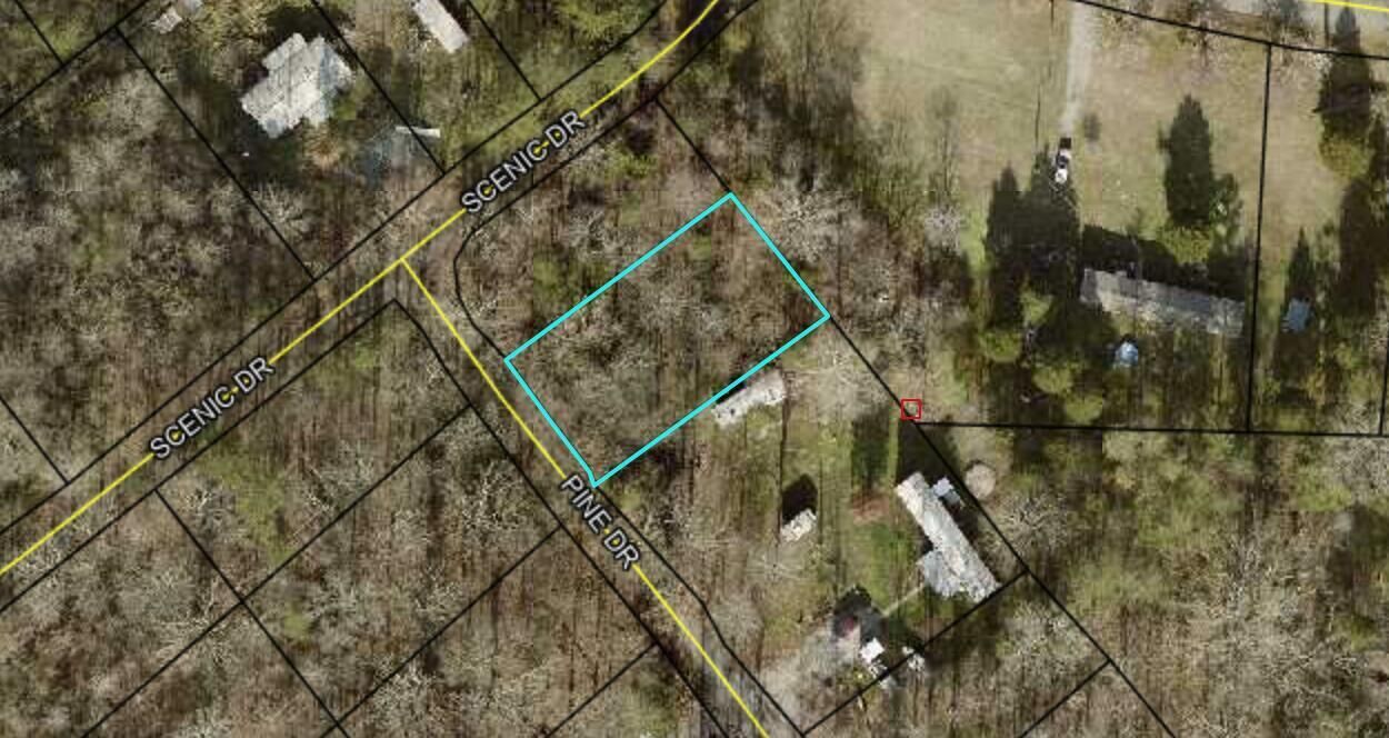 Property Photo:  Lot 205 Pine Dr  KY 42519 