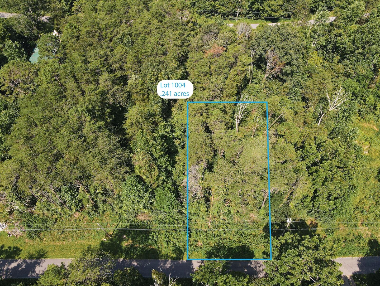Property Photo:  Lot 1004 Fairview Court  KY 41519 