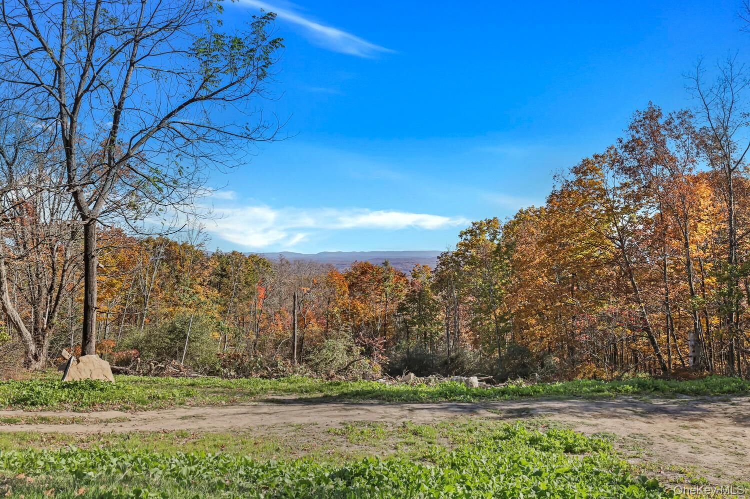 Property Photo:  246 Cox Road  NY 12566 