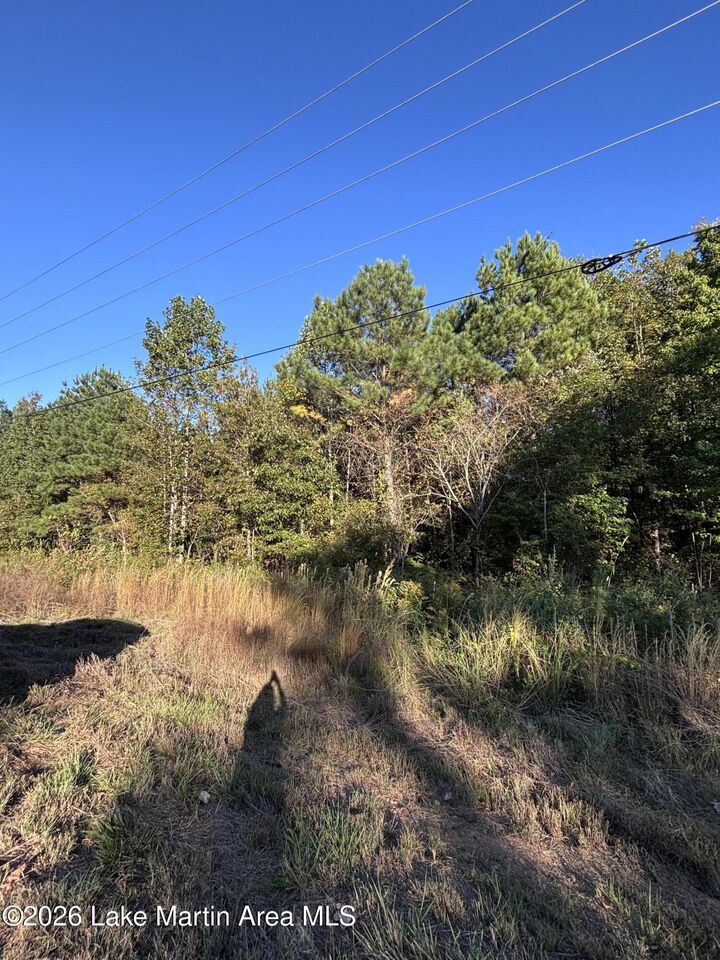 Property Photo: Goldville AL 36256