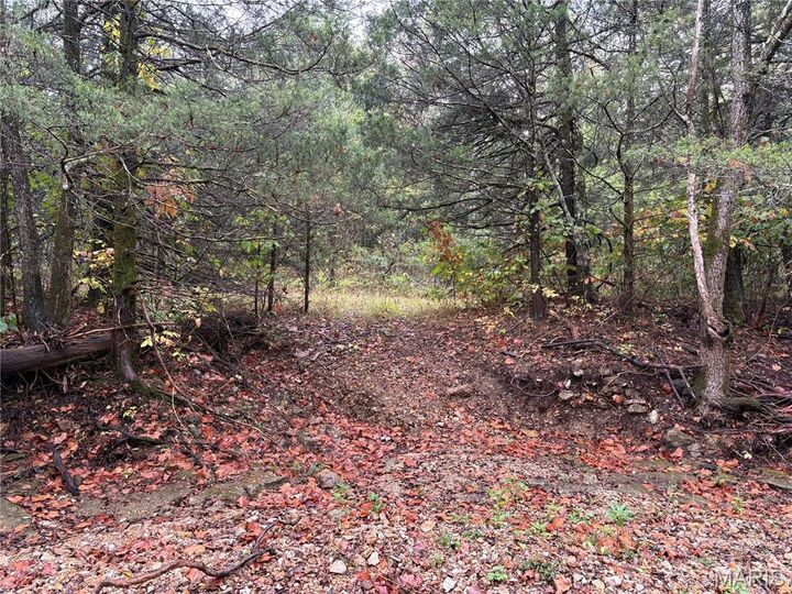 Property Photo:  Tbd Barton School Road  MO 65017 