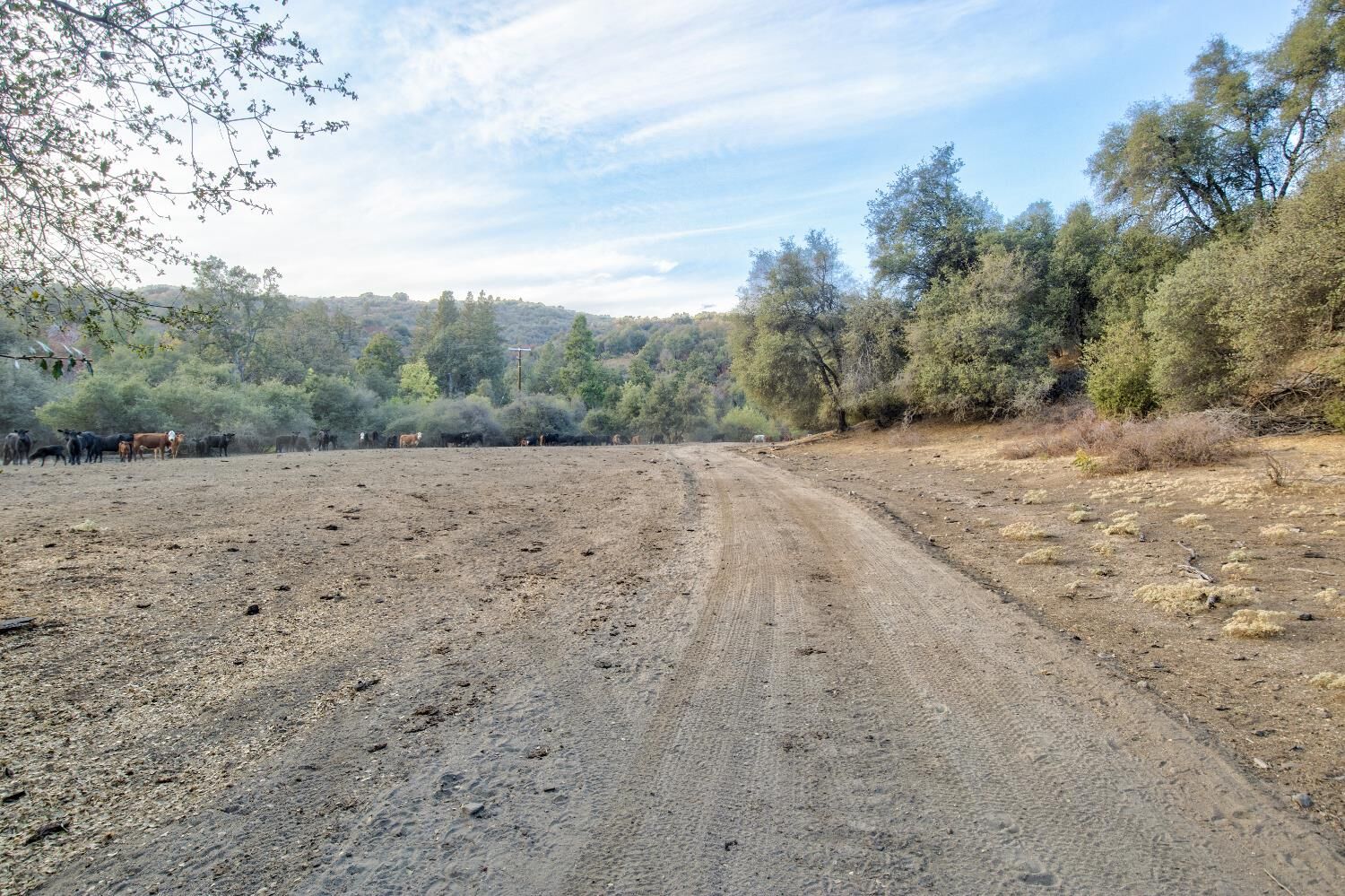Property Photo: 53077 Whittaker CA 93641