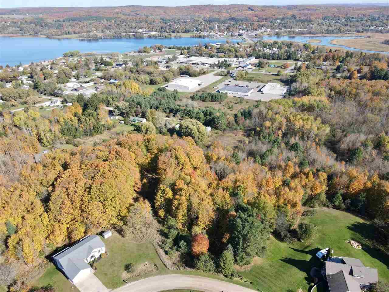 Property Photo:  Tbd Homestead  MI 49727 