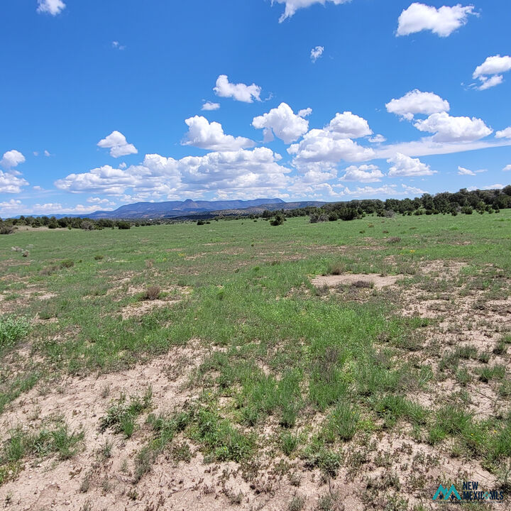 Property Photo: 17 Frontier - Lot 17 Trl 17 NM 87821