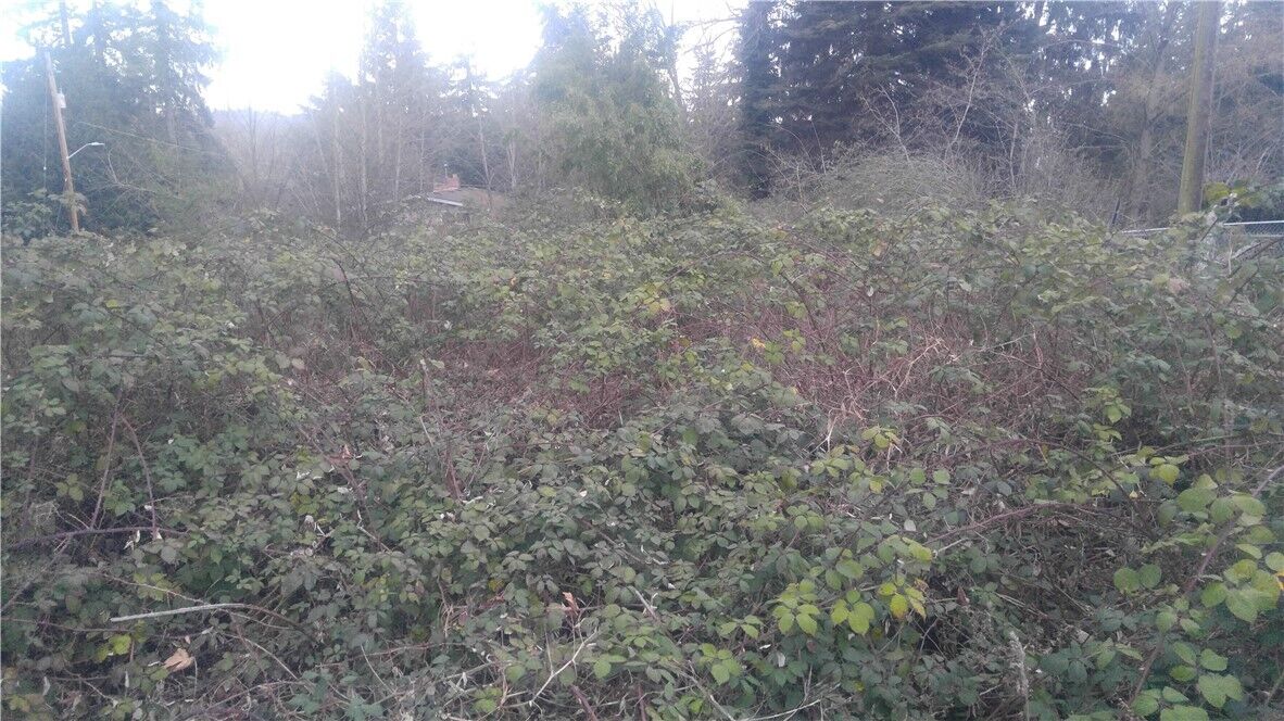 Property Photo: 12810 34th Avenue S WA 98168