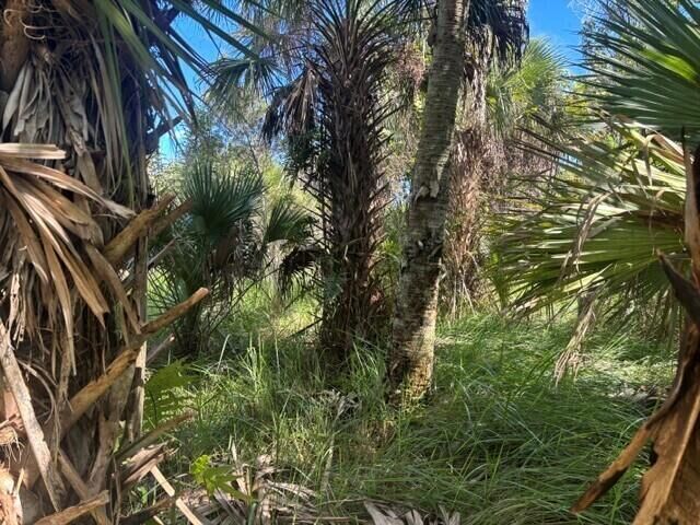 Property Photo: 1767 Drake Avenue SW FL 32908
