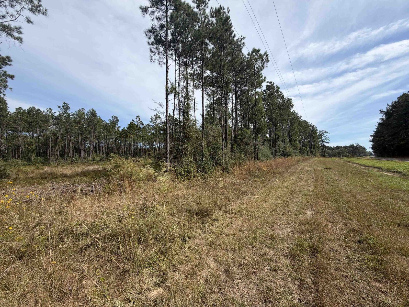 Property Photo:  0 Fm 252  TX 75956 