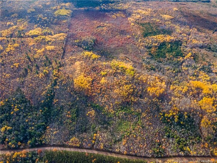 Property Photo:  Lot 1 South Canaan Road  NB E4Z 3R7 