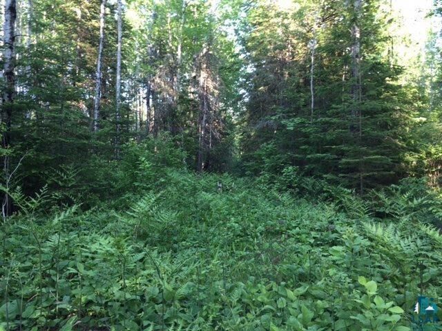 Property Photo:  1xxx Camp 20 Rd  MN 55606 