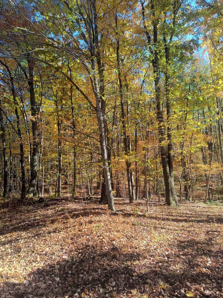 Property Photo:  Map 8 Lot 77 Province Road  NH 03884 