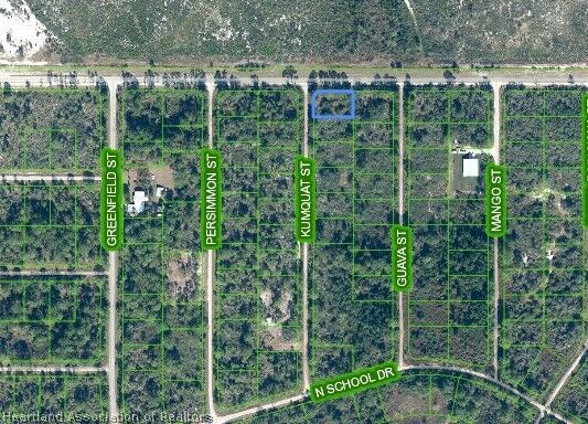 Property Photo:  1265 Kumquat Street  FL 33852 