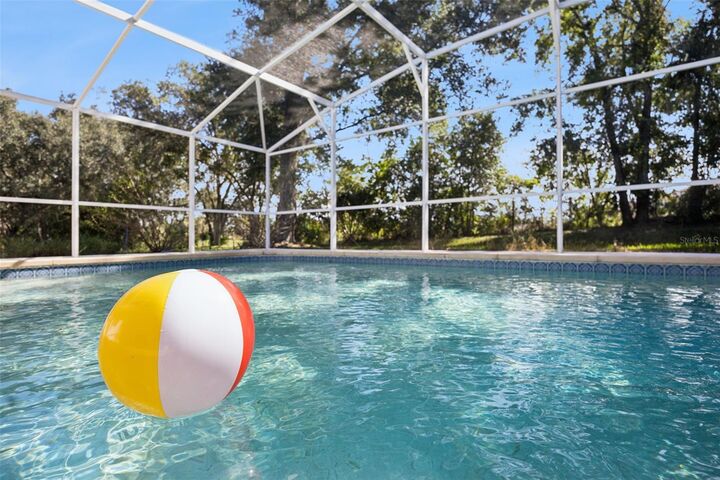 Property Photo: 26233 Newcombe Circle FL 34748