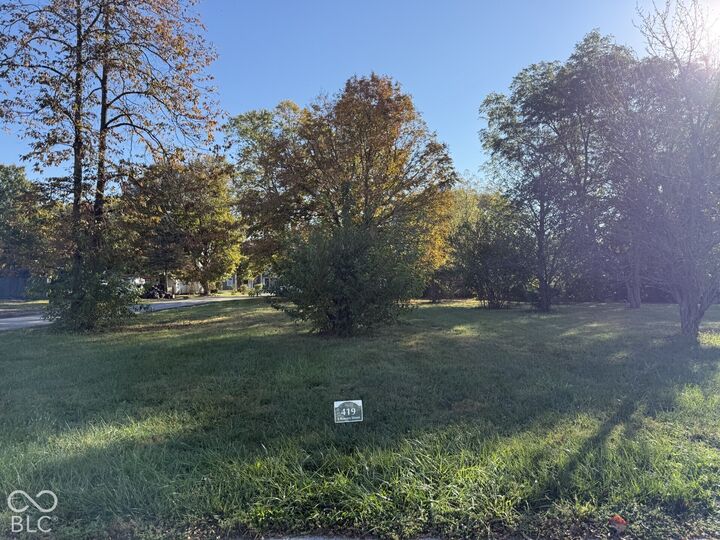 Property Photo: 419 S Bowers Street IN 46075