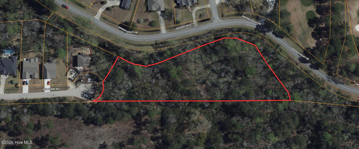 Property Photo: 0 Sea Bourne Way NC 28468