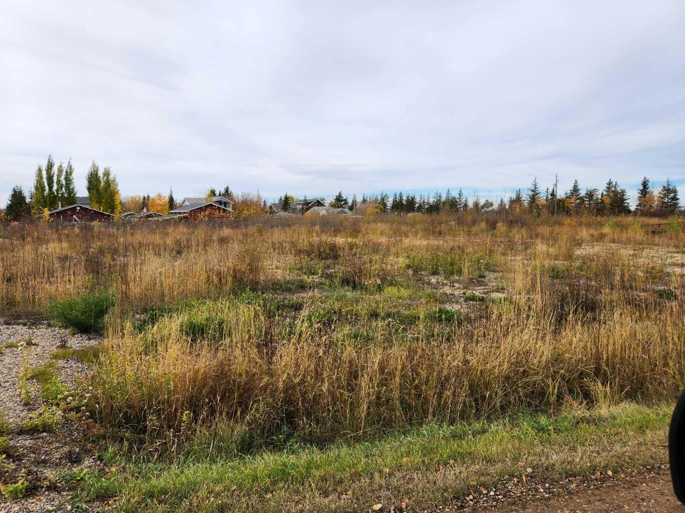 Property Photo:  705 Willow Bay  SK S9V 2T0 