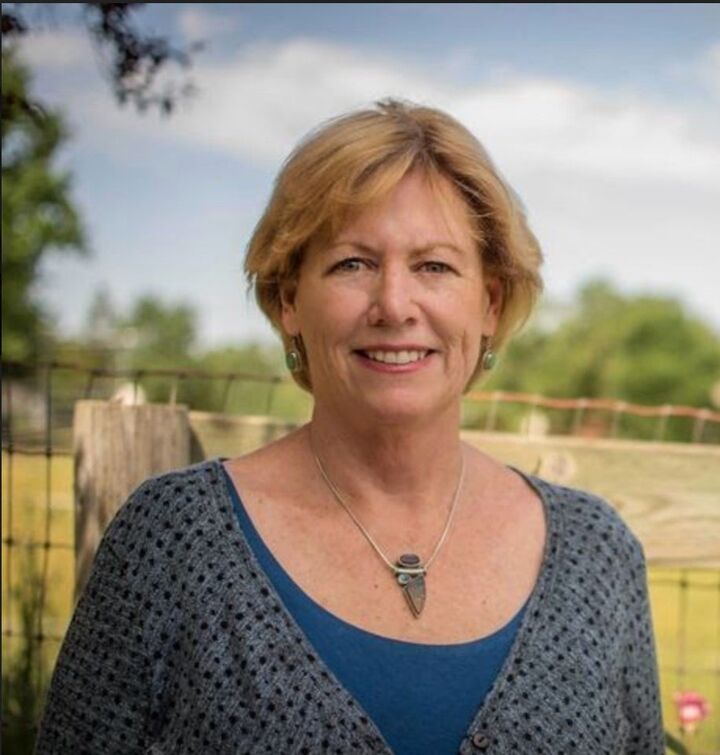 Pam Buda, Sales Representative in Santa Rosa, Icon Properties