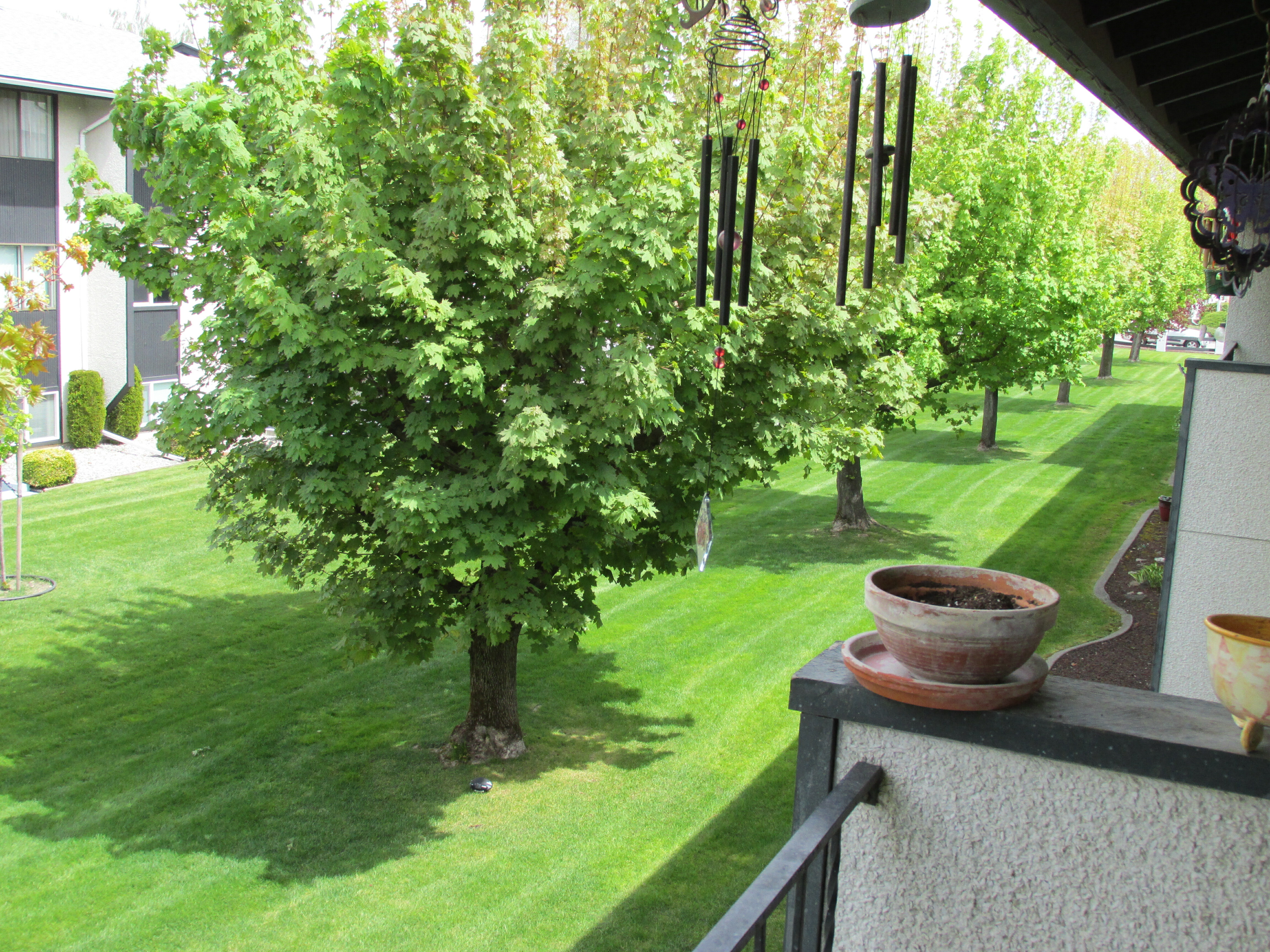 Property Photo: 227 N Raymond Rd 20 WA 99206