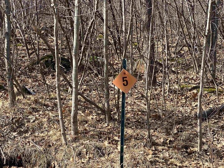Property Photo: Lot 5 Acorn Ridge Road WI 54455