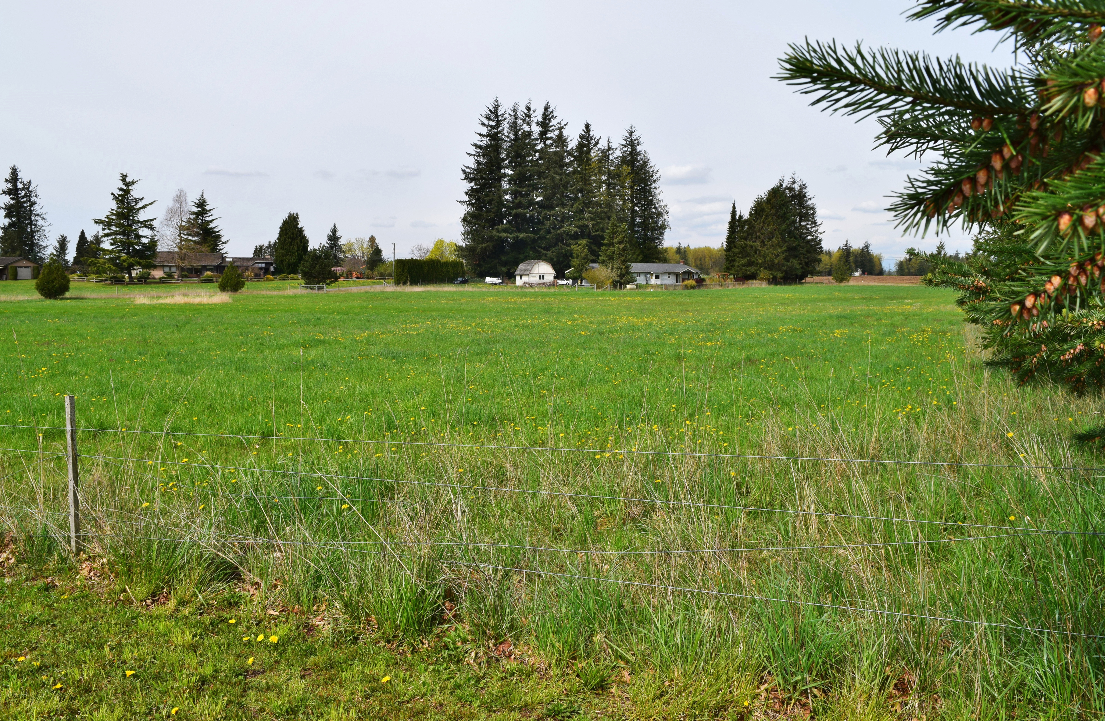 Property Photo: Property Views 6488 Courtney Lane WA 98247