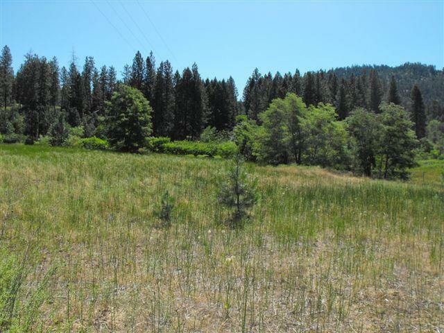 Property Photo:  1537 Rickey Canyon Rd  WA 99141 