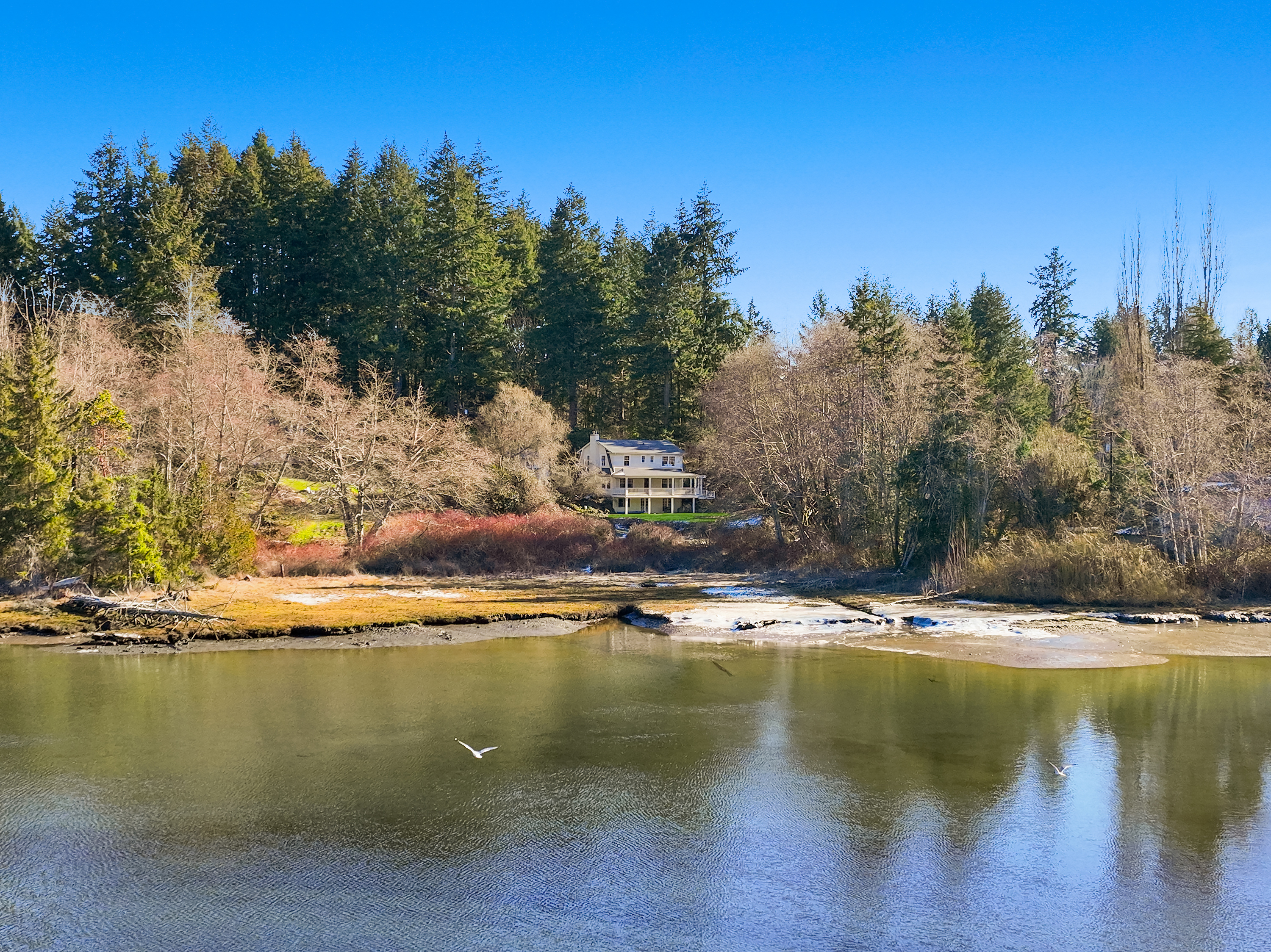 Property Photo:  261 Gowen Place NW  WA 98110 