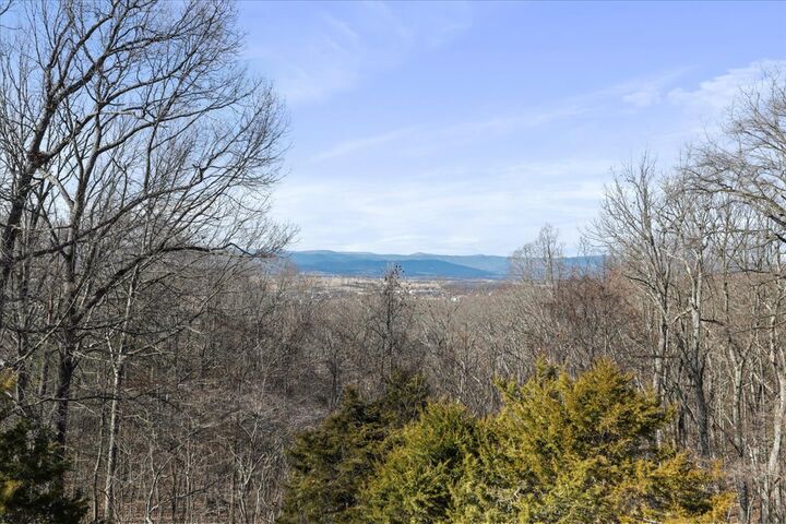 Property Photo:  308 Brush Leaf Lane  VA 22842 